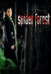 Spider Forest